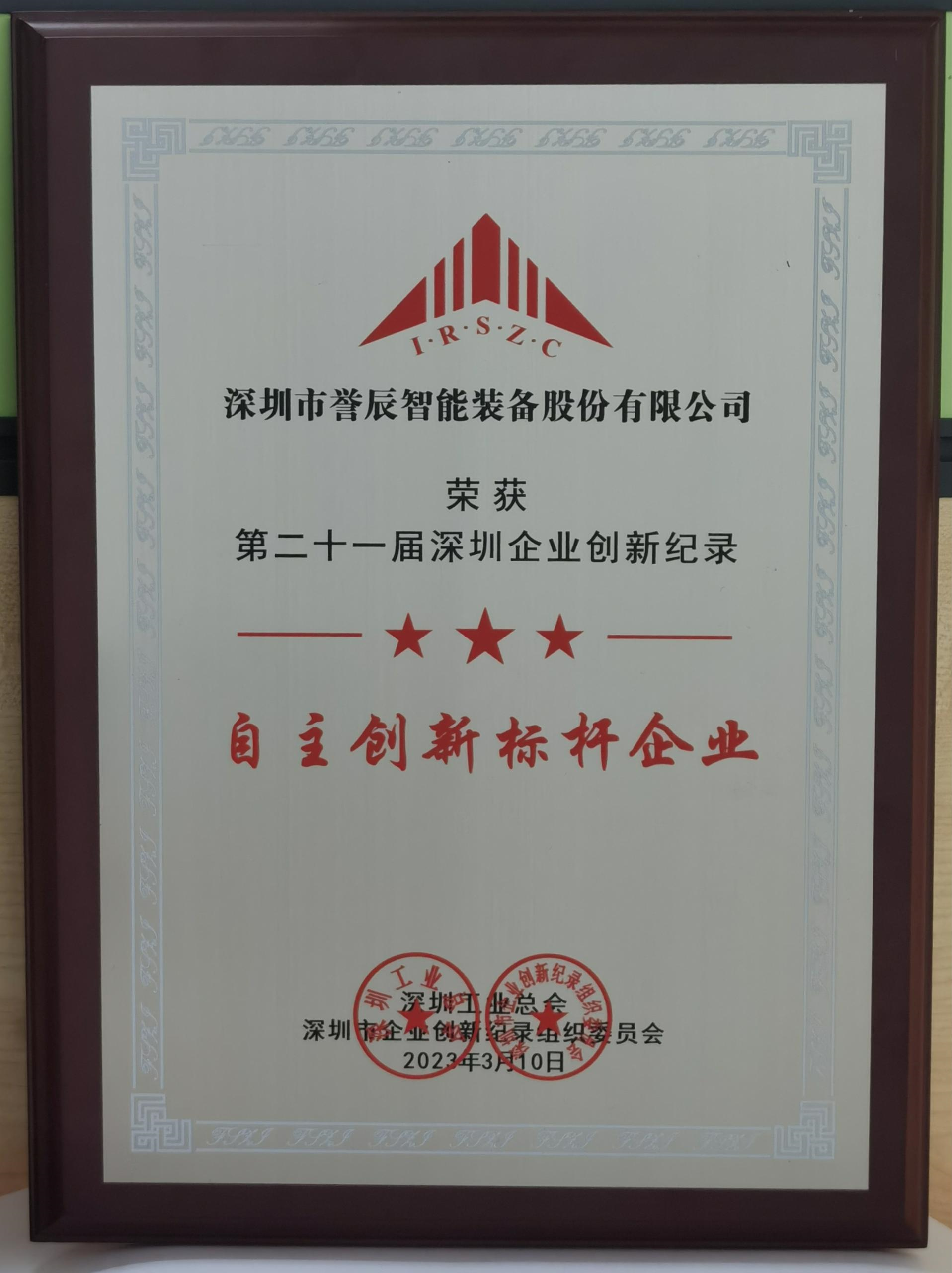 自主創新標桿企業
